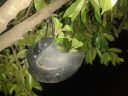 IMG-20140727-WA0007.jpg