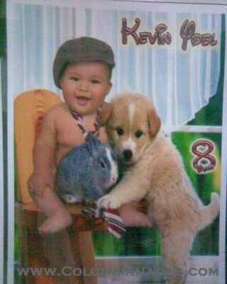 Foto nene
