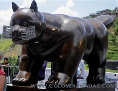 gato.jpg