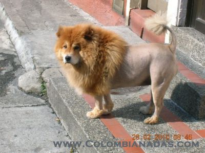 Leon
