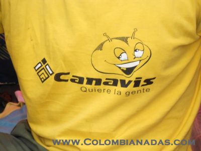 canavis

