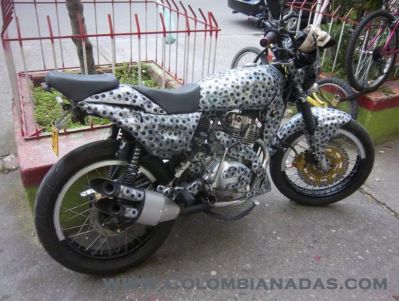Moto dalmata
