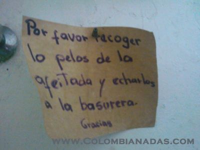 recoger pelos

