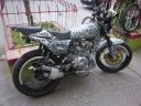col_motoDalmata.jpg