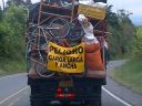 col_pobrePerroTrasteo.jpg